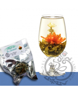 Fleur de la sérénité