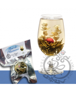 Fleur de l'harmonie