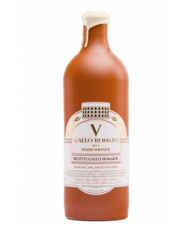 V Gallo-romain de la...