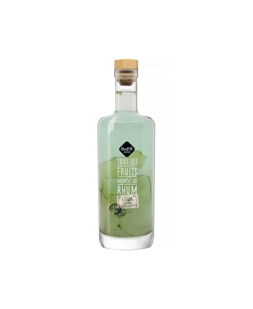 Rhum Arrangé Citron Vert Menthe Gingembre Rhum arrangé Gingembre/Menthe glaciale - Breiz'île Sélection 30°